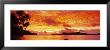 Sunset, Huahine Island, Tahiti by Panoramic Images Limited Edition Pricing Art Print