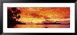 Sunset, Huahine Island, Tahiti by Panoramic Images Limited Edition Print