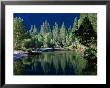 Merced River, Yosemite National Park, Usa by John Elk Iii Limited Edition Print