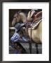 Female Wrangler Saddles Horse At Boulder River Ranch, Montana, Usa by John & Lisa Merrill Limited Edition Print