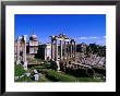 Roman Forum Ruins., Rome, Lazio, Italy by Christopher Groenhout Limited Edition Print
