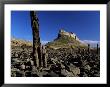 Lindisfarne Castle, Holy Island, Northumberland, England, United Kingdom by Lee Frost Limited Edition Print