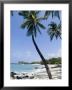 Kona State Beach, Island Of Hawaii (Big Island), Hawaii, Usa by Ethel Davies Limited Edition Print