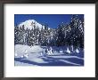 Snow Covered Trees And Moguls Of Mt. Hood, Oregon, Usa by Janis Miglavs Limited Edition Print