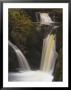 Pecca Falls, Ingleton Waterfalls Walk, Yorkshire Dales National Park, Yorkshire by Neale Clarke Limited Edition Print