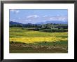 Wide Open Rolling Landscape, High Country, Australia by Richard Nebesky Limited Edition Print