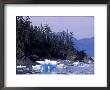 Icebergs From Columbia Glacier, Prince William Sound, Alaska, Usa by Paul Souders Limited Edition Print