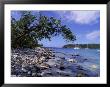 Salt Pond Bay, St. John, Usvi by Jim Schwabel Limited Edition Pricing Art Print