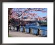 Boat On The Willamette River, Portland, Oregon, Usa by Janis Miglavs Limited Edition Print