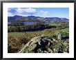 Keswick From Castle Head, Borrowdale, Lake District, Cumbria, England, United Kingdom by Neale Clarke Limited Edition Print