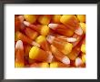 Halloween Candy Corn by Mitch Diamond Limited Edition Pricing Art Print