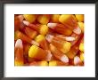 Halloween Candy Corn by Mitch Diamond Limited Edition Print