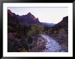 The Watchman Looms Over The Virgin River At Sunset, Zion National Park, Utah, Usa by Howie Garber Limited Edition Print