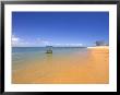 Beach At Magnetic Island, Queensland, Australia by Thorsten Milse Limited Edition Print