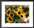 Market Sunflowers, Nice, France by Charles Sleicher Limited Edition Print