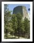 Devil's Tower National Monument, Wyoming, Usa by Ethel Davies Limited Edition Pricing Art Print