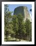 Devil's Tower National Monument, Wyoming, Usa by Ethel Davies Limited Edition Pricing Art Print