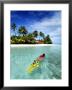 Woman Snorkelling, Kurumba Island, North Male Atoll, Kaafu, Maldives by Felix Hug Limited Edition Print