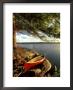 Cedar Canvas Canoe, Canada by David Cayless Limited Edition Print
