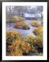 Fall Over Harris Covered Bridge In Benton County, Oregon, Usa by Janis Miglavs Limited Edition Print