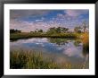 Reflection Of Clouds On Tidal Pond In Morning Light, Savannah, Georgia, Usa by Joanne Wells Limited Edition Print