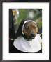 Pet Dog Dressed As A Nun During A Halloween Celebration by Richard Nowitz Limited Edition Print