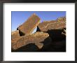 Petroglyphs Near Little Colorado River, Arizona by David Edwards Limited Edition Print