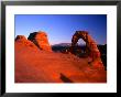 Delicate Arch And Surrounding Slick-Rock With La Sal Mountains In Distance, Utah by Ross Barnett Limited Edition Print
