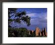 Fiery Furnace Fins, Arches National Park, Utah, Usa by Jamie & Judy Wild Limited Edition Print