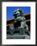 Imperial Lion At Forbidden City, Beijing, China by Diana Mayfield Limited Edition Print