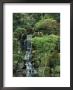 Japanese Garden In Portland by Darlyne A. Murawski Limited Edition Print