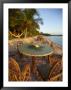 Seashell And Palm Leaves On A Table And Chairs On A Beach With Palms by Raul Touzon Limited Edition Print