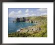 Gammon Head, Prawle Point, Devon Coast Path, South Hams, Devon, England, United Kingdom by David Hughes Limited Edition Print