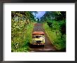 Bus Travelling On Island Road, Upolu, Samoa by Peter Hendrie Limited Edition Print