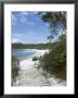 Lake Mckenzie, Fraser Island, Unesco World Heritage Site, Queensland, Australia by Sheila Terry Limited Edition Print