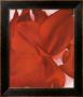 Red Cannas by Georgia O'keeffe Limited Edition Pricing Art Print