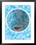 Golf Club Around Golf Ball by Martin Paul Limited Edition Print