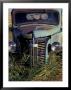 Old Truck In Field, Gennesse, Idaho, Usa by Darrell Gulin Limited Edition Print