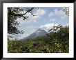 Arenal Volcano From The Sky Tram, Costa Rica, Central America by R H Productions Limited Edition Print