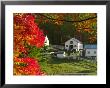 Morning Chores At The Imagination Morgan Horse Farm, Vermont, Usa by Charles Sleicher Limited Edition Print