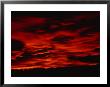 An Early Morning Sunrise Paints The Sky Red by Paul Nicklen Limited Edition Pricing Art Print