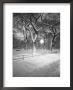 Snow-Covered Promenade In Central Park, New York, New York, Usa by Walter Bibikow Limited Edition Print