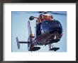 Uscg Dauphin Helicopter Arrives At Mcmurdo Station, Antarctica by William Sutton Limited Edition Print