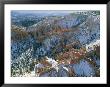 Aerial View Of Bryce Canyon National Park In Winter by Norbert Rosing Limited Edition Print