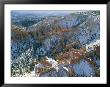 Aerial View Of Bryce Canyon National Park In Winter by Norbert Rosing Limited Edition Pricing Art Print