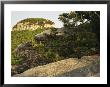 View Of The Pinnacle Of Pilot Mountain From The Sassafras Trail by Raymond Gehman Limited Edition Print