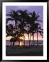 Coconut Trees Silhouetted On Mauna Lani Bay Hotels Beach At Sunset by Richard Nowitz Limited Edition Print