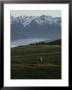 A Deer Grazes In An Alpine Meadow In Olympic National Park by Sam Abell Limited Edition Print