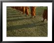 A Group Of Buddhist Monks Walk Single-File Down A Dirt Road by Jodi Cobb Limited Edition Print