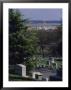The Pentagon Looms Behind Arlington National Cemetery by Raymond Gehman Limited Edition Print